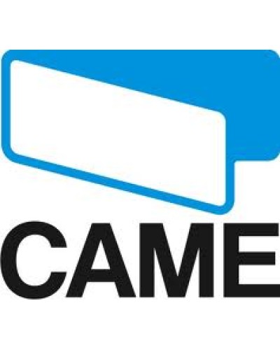 Рычаг мотора Came 119RIG052 в Ельце Запчасти для шлагбаумов и автоматики Pintop.ru