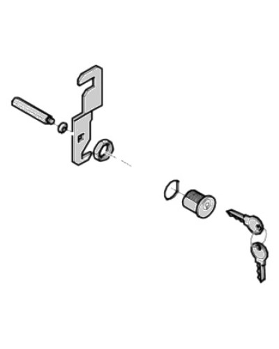 Замок дверцы G4040 G4041 Came 119RIG176 в Ельце Запчасти для шлагбаумов и автоматики Pintop.ru