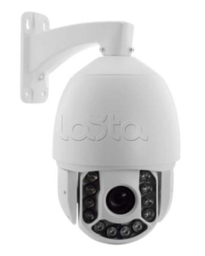 IP-камера видеонаблюдения купольная EverFocus ACE-ATE2033 в Ельце IP-камеры Pintop.ru