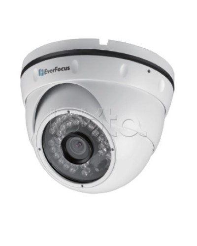 IP-камера видеонаблюдения уличная купольная EverFocus EBN-268 в Ельце IP-камеры Pintop.ru