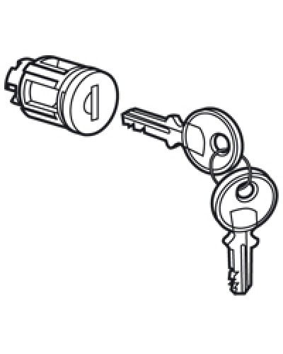 Цилиндр встроенный под ключ №405 Legrand 020291 в Ельце Дополнительное оборудование для сетей Pintop.ru