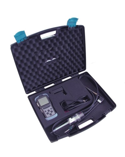 Газоанализатор Seitron CHEMIST 101 в Черкесске Технологические извещатели Pintop.ru