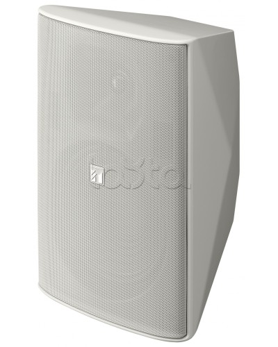 Громкоговоритель 2 полосный TOA F-2000 WT в Ельце Системы оповещения и трансляции TOA Pintop.ru